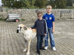 25-10-13 13-52-53 7582